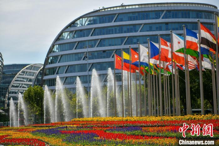 第五屆進(jìn)博會(huì)場(chǎng)館景觀裝飾全面定妝。 陳夢(mèng)澤 攝 第五屆進(jìn)博會(huì)場(chǎng)館景觀裝飾全面定妝。 陳夢(mèng)澤 攝